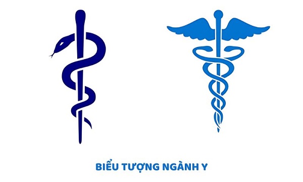 Ý nghĩa biểu tượng ngành Y tế Việt Nam